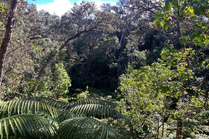 Hawai'i's Volcanoes National Park from Hilo Only - The guide can change the whole day
