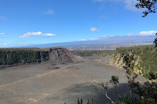 Hawai'i's Volcanoes National Park from Hilo Only - Transport, pickup, and timing