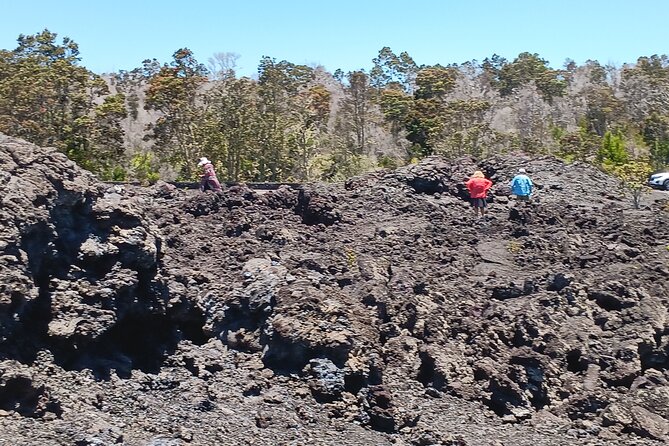 Hawaii Volcano National Park Shore Excursion - What $168 gets you