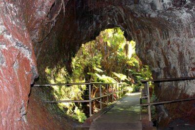 Hawaii Volcanoes National Park and Hilo Highlights Small Group Tour