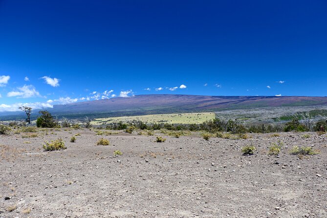 Hawaii Volcanoes National Park and Hilo Highlights Small Group Tour - Chain of Craters Road and the black lava fields
