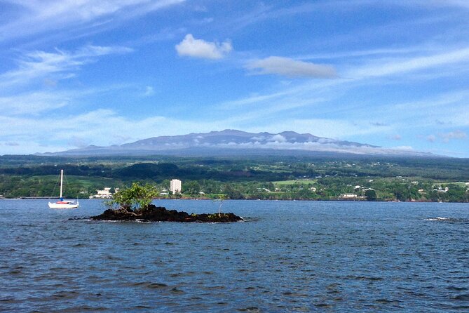 Hawaii Volcanoes National Park and Hilo Highlights Small Group Tour - Pickup details can make or break the day