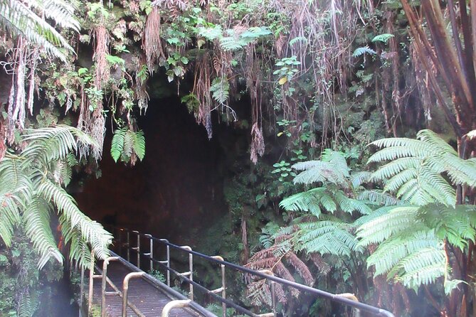 Hawaii Volcanoes National Park Experience Departing From Maui - Manuka State Wayside Park and native forest