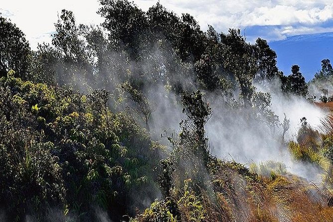 Hawaii Volcanoes National Park Experience Departing from Oahu - Manuka State Wayside Park offers a quieter pause