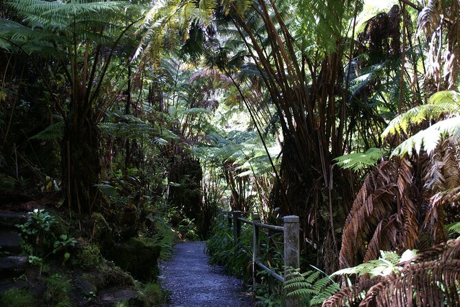 Hawaii Volcanoes National Park Experience from Maui - Manuka State Wayside Park offers a quiet change of pace