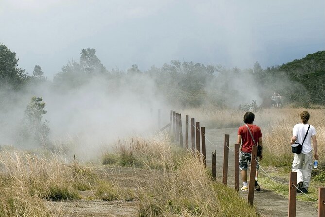 Hawaii Volcanoes National Park Experience from the Big Island - Manuka State Wayside Park offers a quiet forest pause