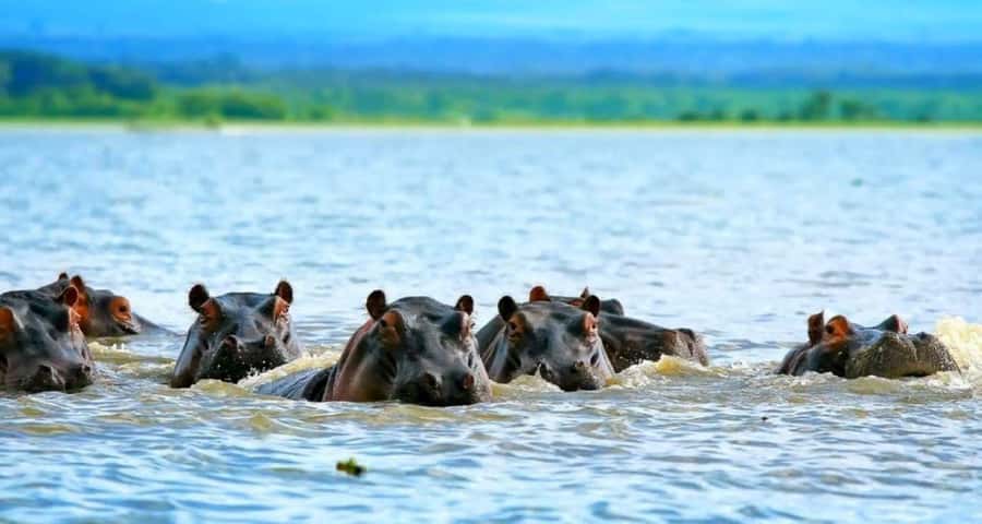 Hell's Gate National Park Day Trip With Baot Ride Tour - The road to Naivasha and the Great Rift Valley lookout