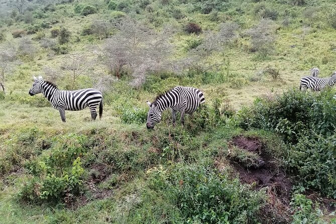 Hell's Gate National Park Private Bike Tour from Nairobi - Meeting a Maasai community