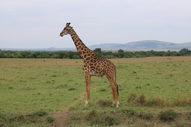 Hell's Gate National Park Private Bike Tour from Nairobi - The optional Lake Naivasha boat ride