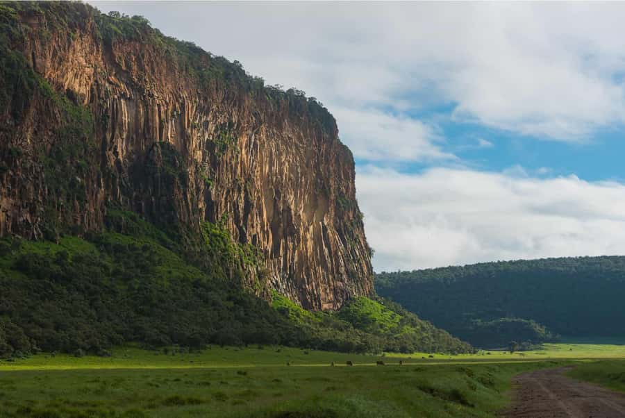 Hells Gate National Park and Lake Naivasha Day Tour - Gorges and the Lion King connection