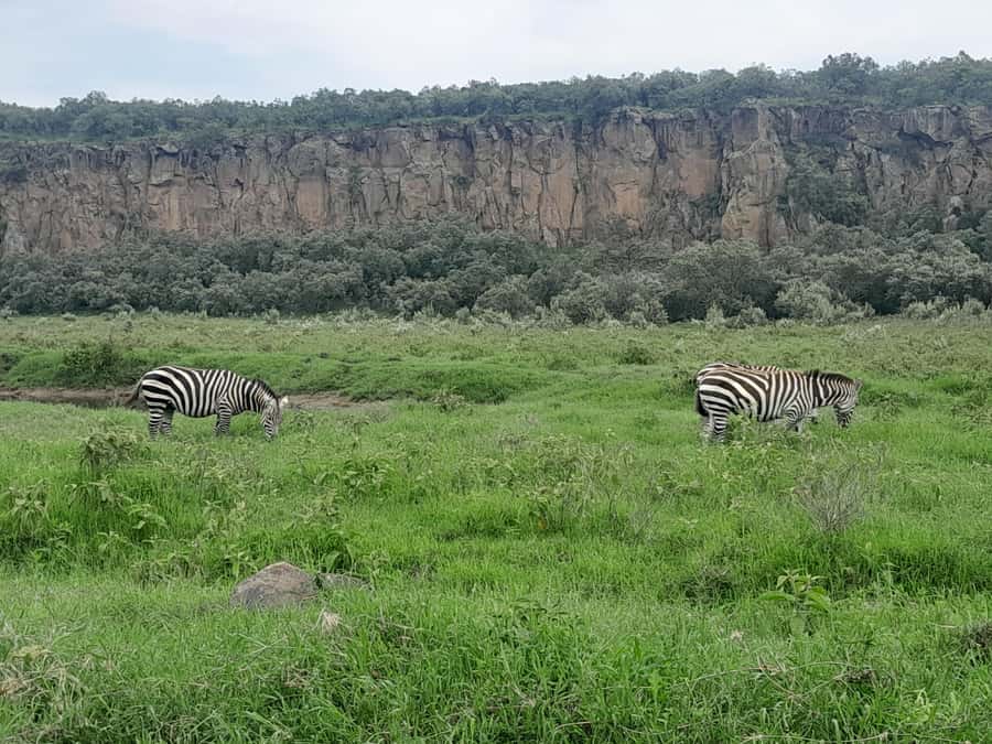 Hells Gate National Park and Lake Naivasha Day Tour - Cycling inside Hell’s Gate National Park