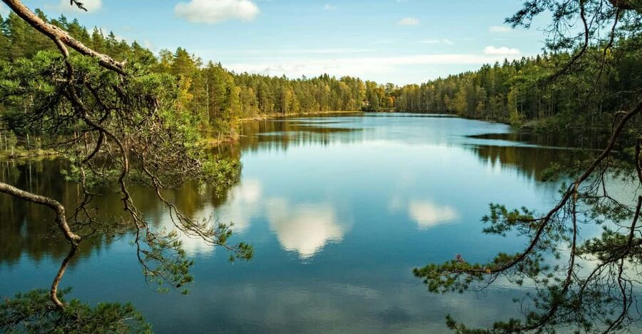 Helsinki: Nuuksio National park hiking with campfire lunch - Who should book this Nuuksio outing?