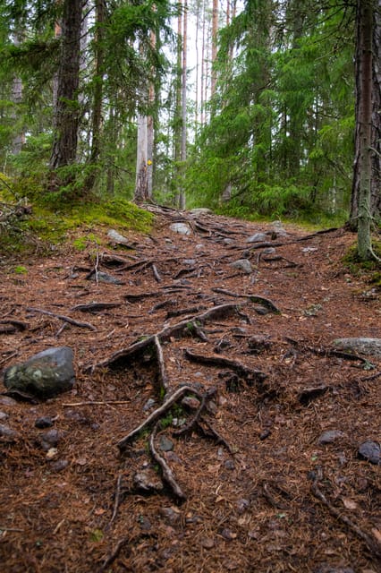 Helsinki: Nuuksio National park hiking with campfire lunch - What to bring for a comfortable day