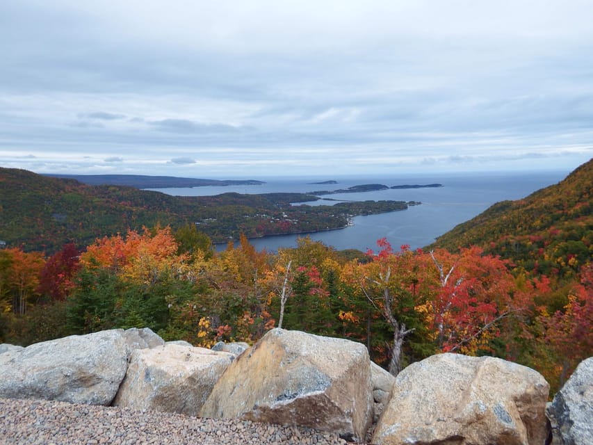 Highlands National Park: Cabot Trail Tour - Who should book this Cabot Trail tour