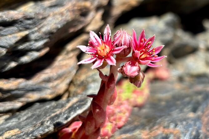 Hiking experience in the High Sierra Nevada National Park - The climb above 3,000 meters