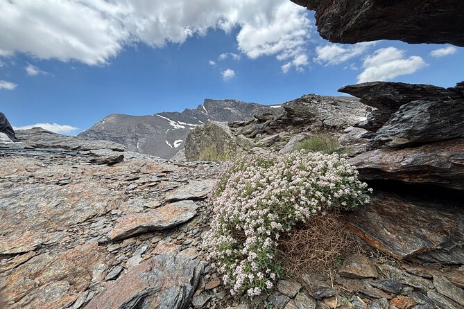 Hiking experience in the High Sierra Nevada National Park - The guides make the difference