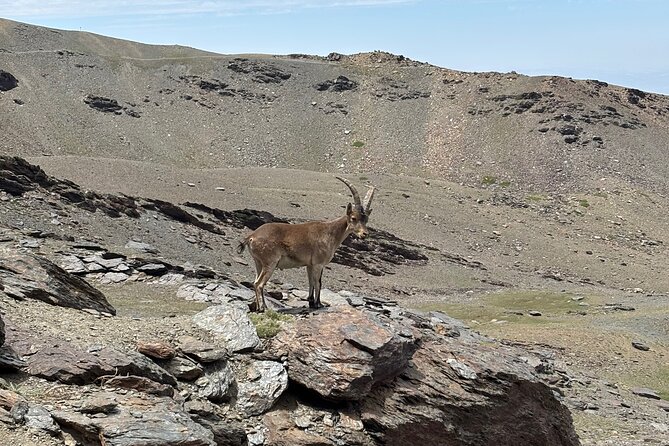 Hiking experience in the High Sierra Nevada National Park - Posiciones del Veleta and the Civil War fortifications