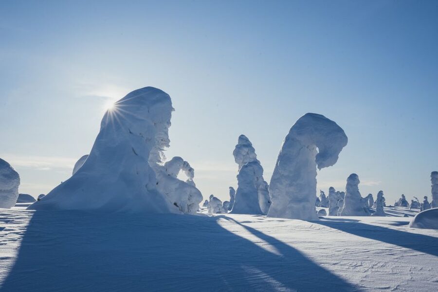 Hiking in Riisitunturi National Park with Photographer - FAQ