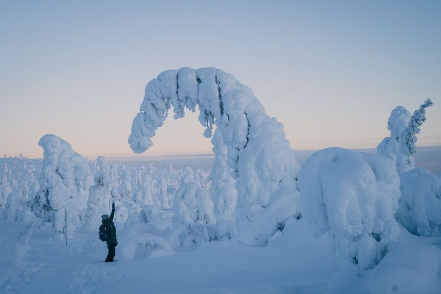 Hiking in Riisitunturi National Park with Photographer - The Rovaniemi pickup and the long ride north