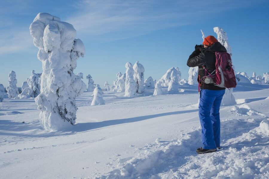 Hiking in Riisitunturi National Park with Photographer - What the $222 price really buys