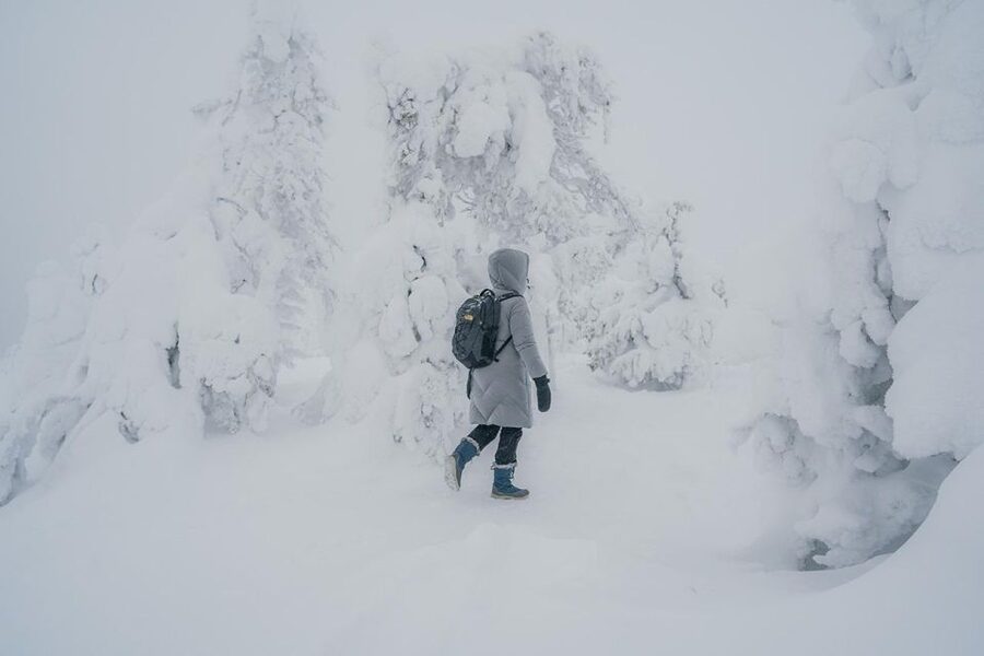 Hiking in Riisitunturi National Park with Photographer - Walking the 5-kilometer winter route