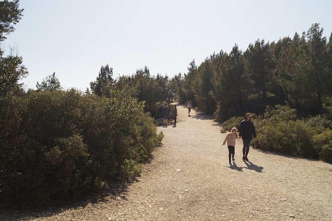Hiking in the Calanques National park from Marseille - Guides who make the rough sections easier