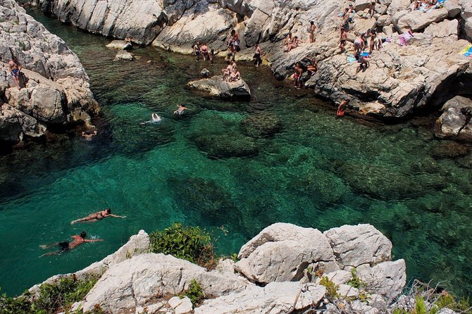 Hiking in the Calanques National park from Marseille - Transport, timing, and the meeting point