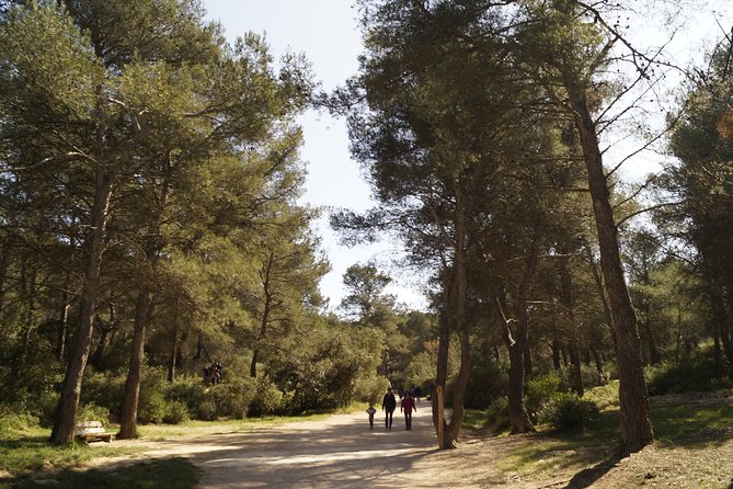 Hiking in the Calanques National park from Marseille - Is $42.34 good value?