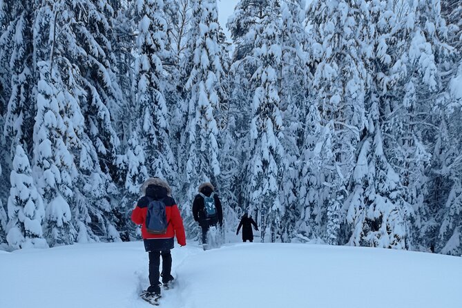 Hiking tour in Nuuksio National Park with meal and snacks - Meeting David at Museokatu 8