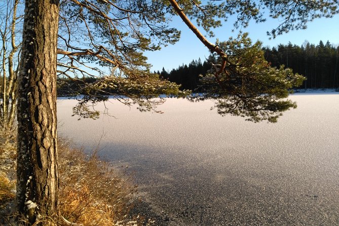 Hiking tour in Nuuksio National Park with meal and snacks - Lakes, bogs, and changing ground