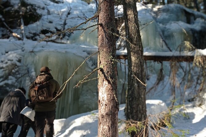 Hiking tour in Nuuksio National Park with meal and snacks - Glögi, berry tea, and Finnish forest snacks