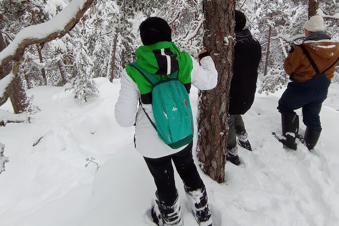 Hiking tour in Nuuksio National Park with meal and snacks - The homemade mushroom soup finish
