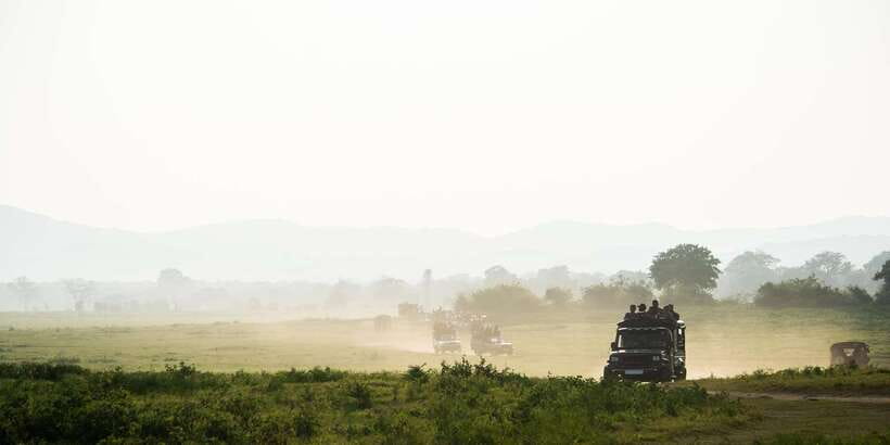 Hikkaduwa/Galle/Weligama/Mirissa: Yala National Park Safari - From the south coast to Yala National Park