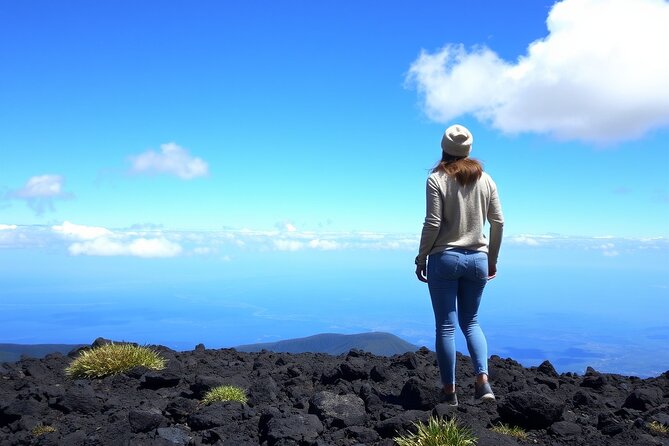 Hilo and Volcano National Park Tour for Cruise Passengers at port - From Hilo Harbor to Richardson Ocean Park