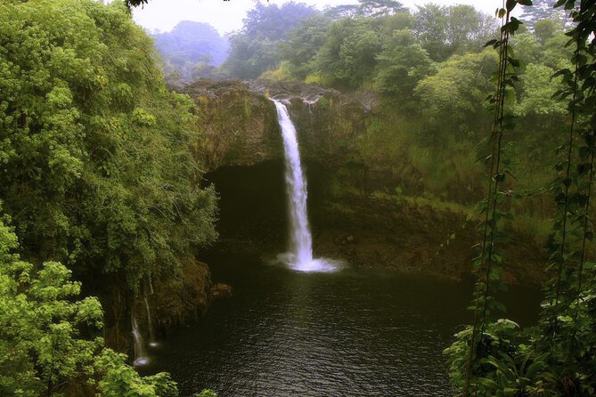 Hilo and Volcano National Park Tour for Cruise Passengers at port - Lunch at Waiakea Center Pavilion