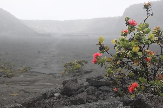 Hilo Cruise Ship Excursion: Volcanoes National Park Rainbow Falls - The guides can shape the whole day