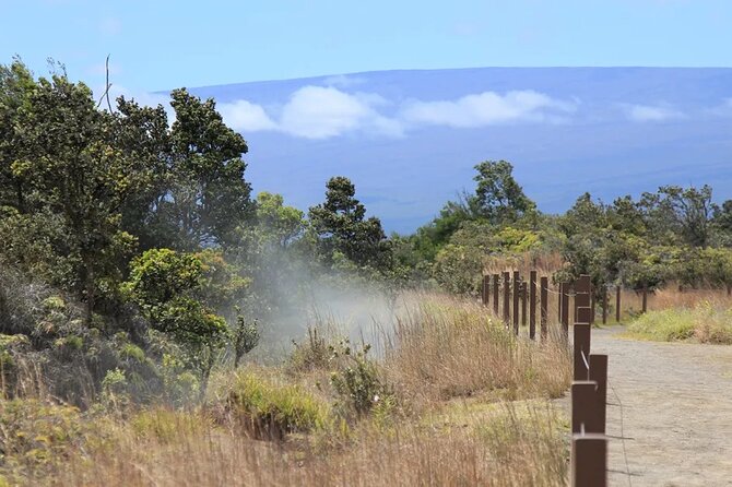 Hilo Cruise Ship Excursion: Volcanoes National Park Rainbow Falls - Who should choose this Hilo excursion?