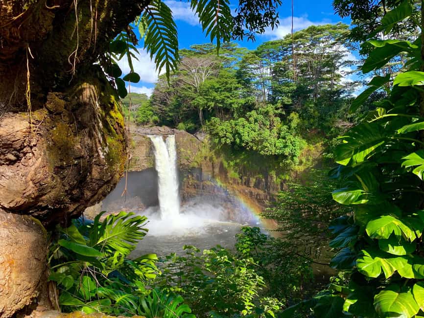 Hilo: Hawaii Volcanoes National Park and Hilo Highlights … - Key points at a glance