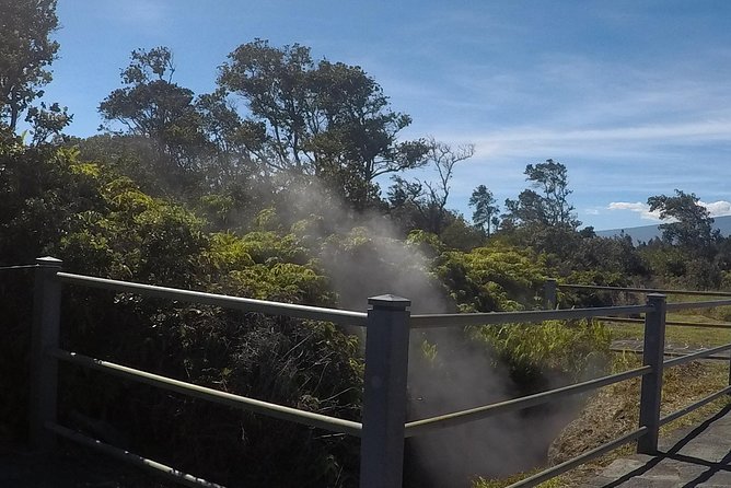 Hilo Shore Excursion: Volcanoes National Park & Black Sand Beach - Starting near Hilo Harbor