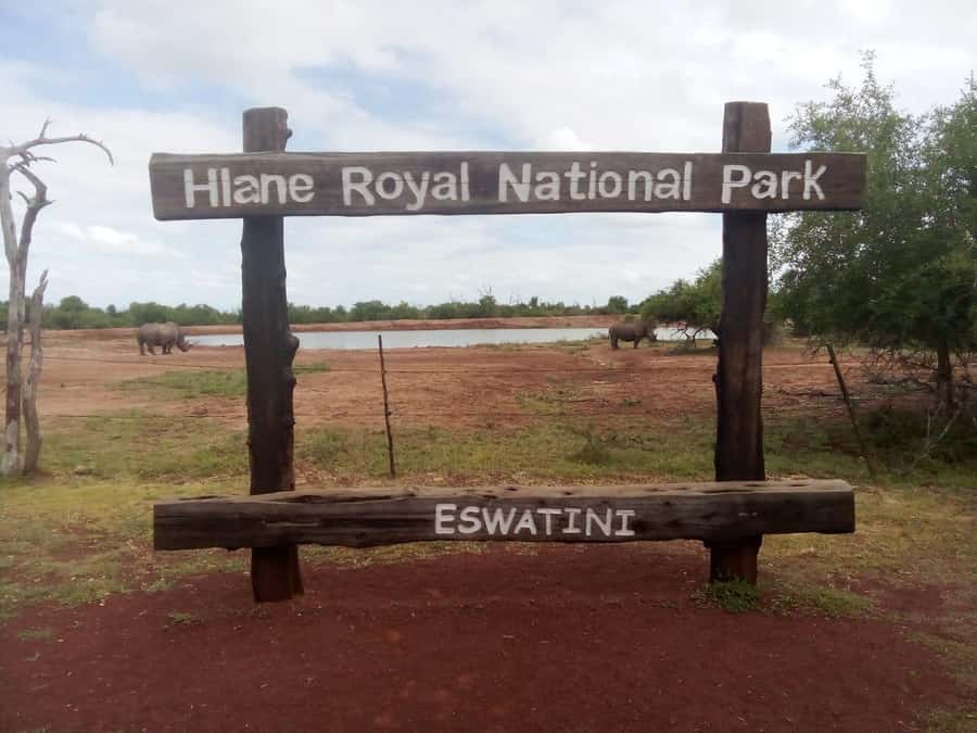 Hlane National Park, Safari Day Tour - The 5:30 departure from Maputo