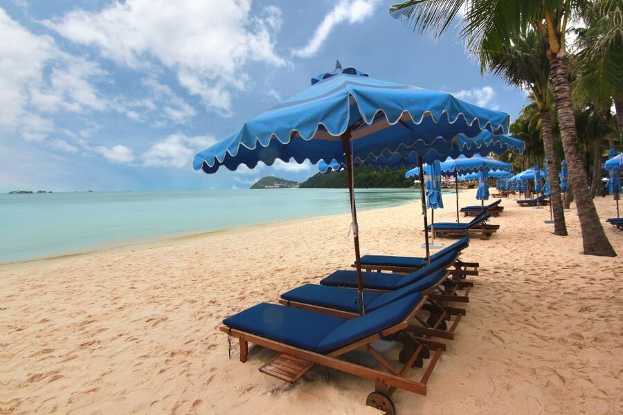 Ho Coc Beach, Nature Reserve & Dragon Fruit Farm Day Tour - What the $114 price includes
