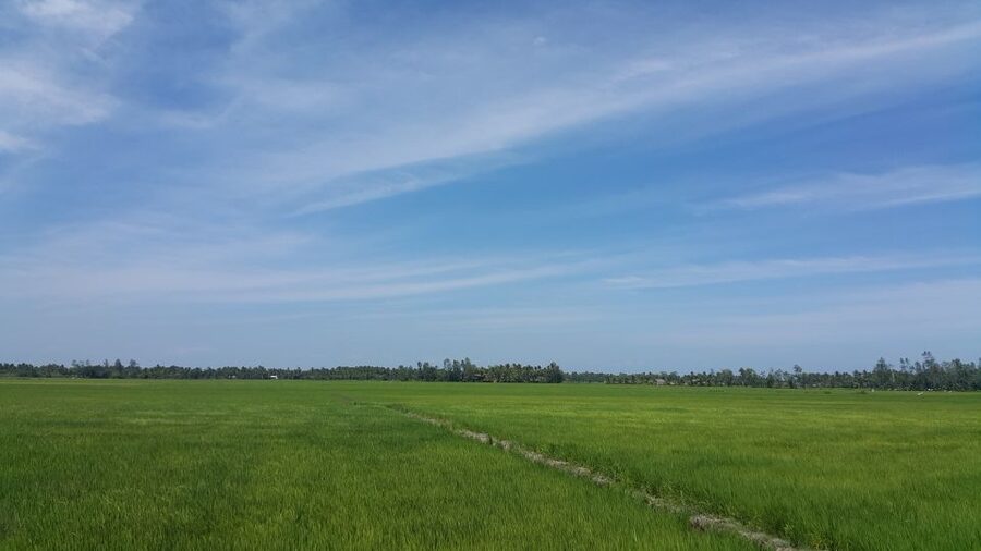 Ho Coc Beach, Nature Reserve & Dragon Fruit Farm Day Tour - Who should book this experience