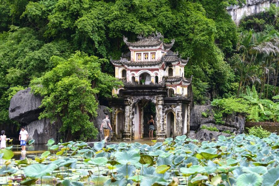 Hoa Lu-Mua Cave-Tam Coc-Bich Dong-Thung Nham National Park - Caves and birdlife at Thung Nham National Park