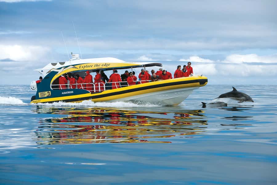 Hobart: Bruny Island Wilderness Coast Eco Cruise with Lunch - The three-hour Bruny Island wilderness cruise