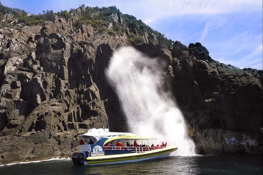 Hobart: Bruny Island Wilderness Coast Eco Cruise with Lunch - A shorter look at Bruny Island by bus