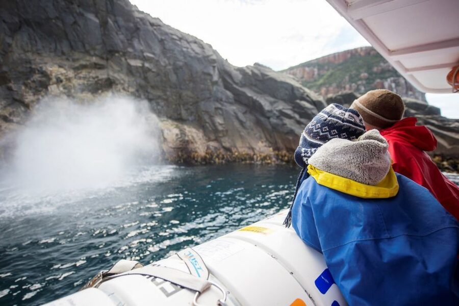 Hobart: Bruny Island Wilderness Coast Eco Cruise with Lunch - Should you book the Bruny Island wilderness cruise?
