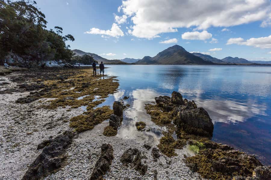 Hobart: Fly & Cruise in Southwest Wilderness Area with Lunch - Group size, guiding, and the feel of the day