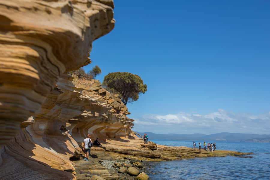 Hobart: Maria Island National Park Active Full-Day Tour - Key points to know before you book