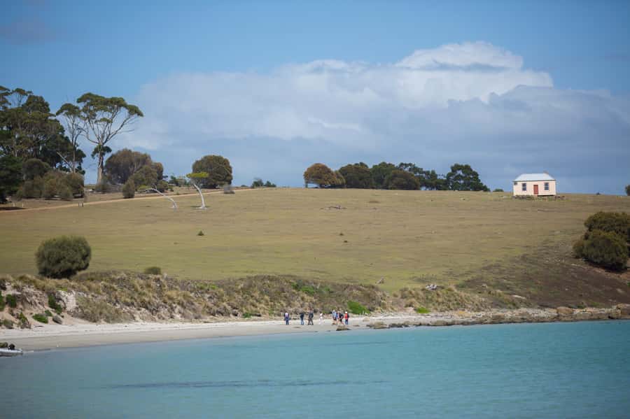 Hobart: Maria Island National Park Active Full-Day Tour - What to pack, and what you must provide yourself