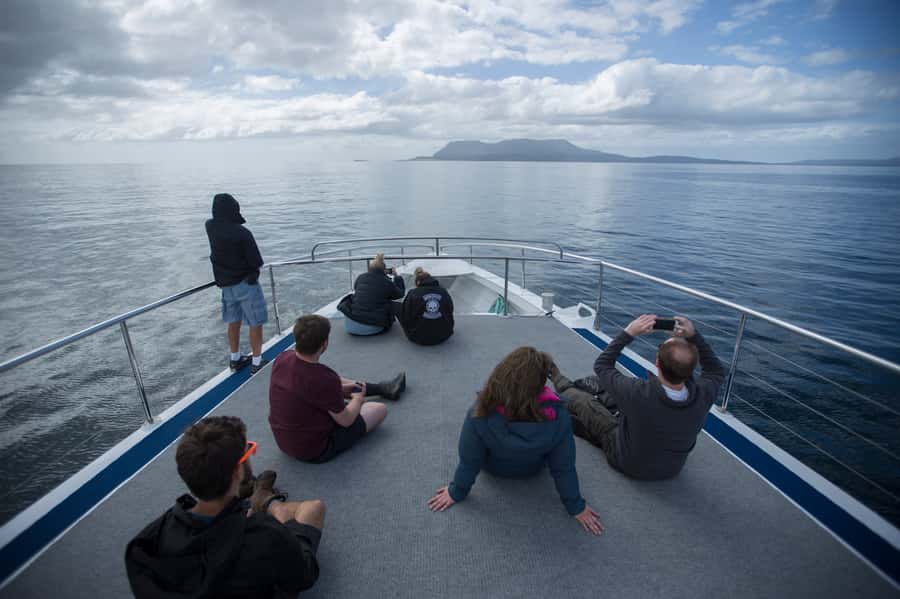 Hobart: Maria Island National Park Active Full-Day Tour - Painted Cliffs: color, sandstone, and an easy coastal walk